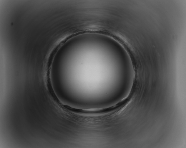 X0000093111410200710031308