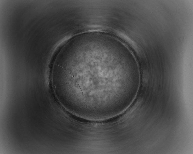 X0000093111411200710031308