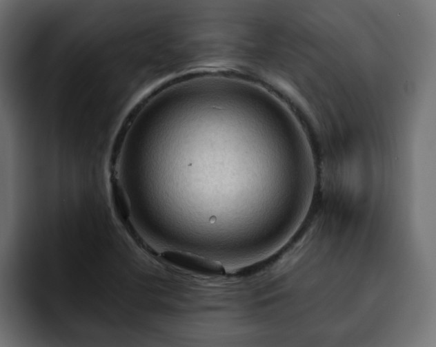 X0000093111412200710031308