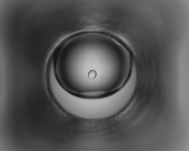 X0000093111414200710031308