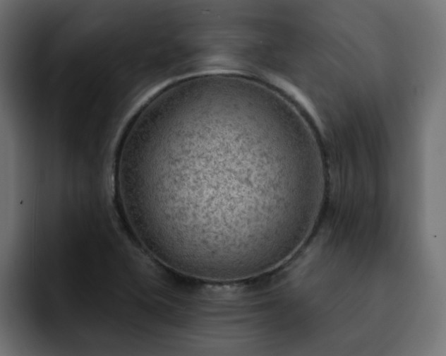 X0000093111415200710031308