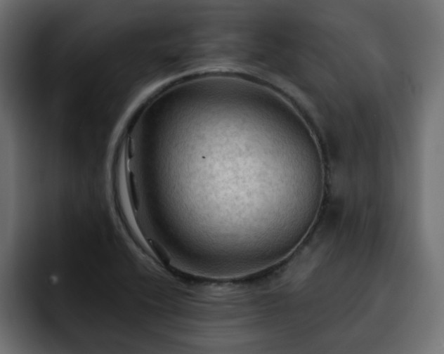 X0000093111416200710031308