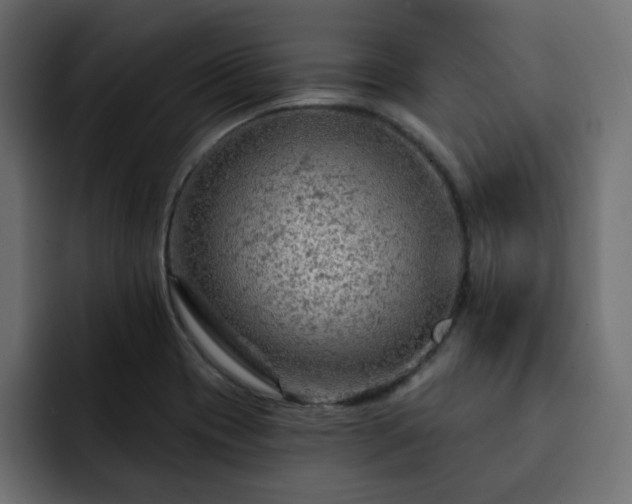 X0000093111417200710031308