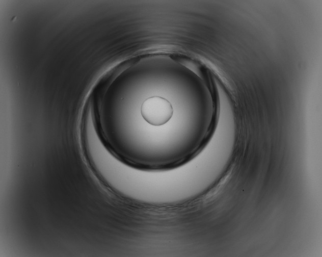 X0000093111418200710031308