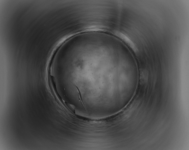X0000093111419200710031308