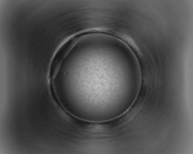 X0000093111420200710031308
