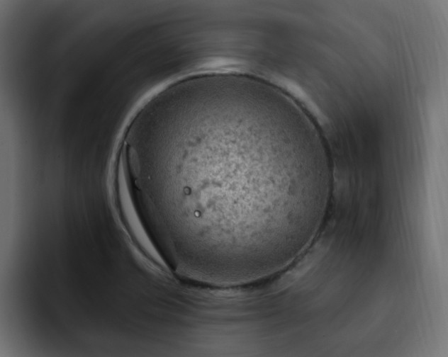 X0000093111421200710031308