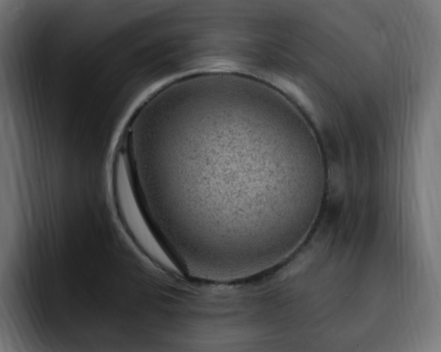 X0000093111424200710031308