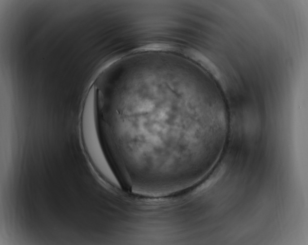 X0000093111425200710031308