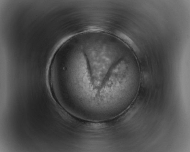 X0000093111427200710031308