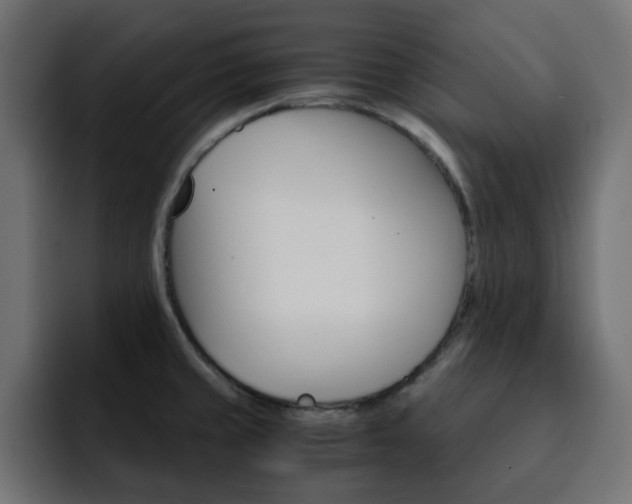 X0000093111429200710031308