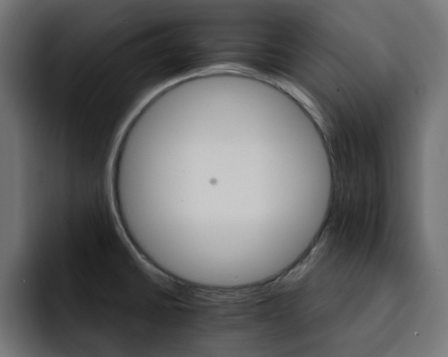 X0000093111430200710031308