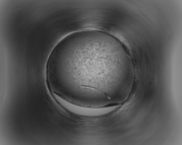 X0000093111431200710031308