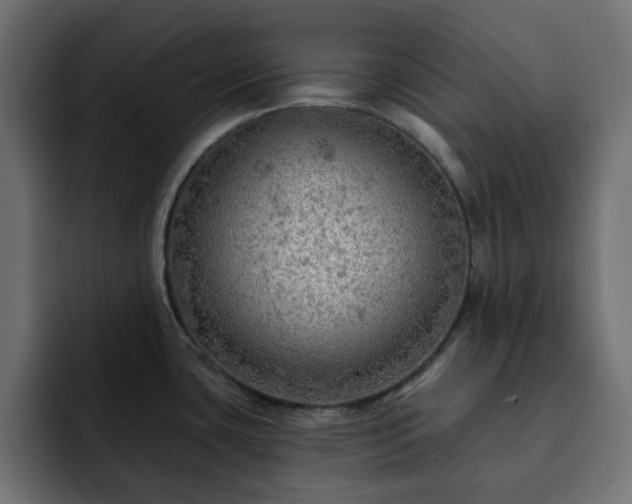 X0000093111435200710031308