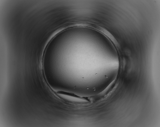 X0000093111436200710031308