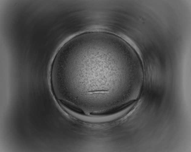 X0000093111437200710031308