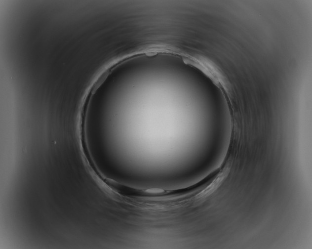 X0000093111438200710031308