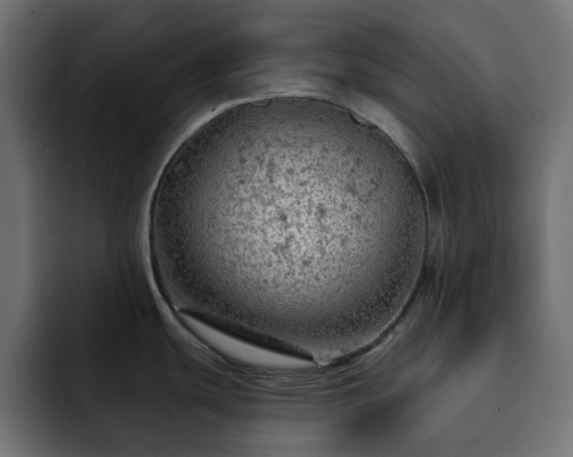 X0000093111439200710031308