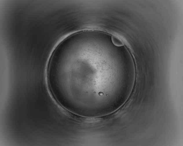 X0000093111440200710031308