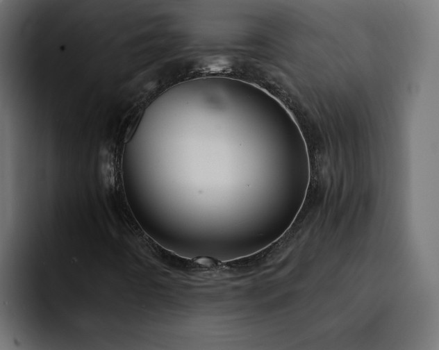 X0000093111442200710031307