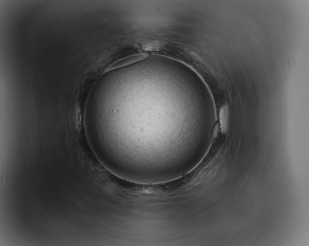 X0000093111443200710031307