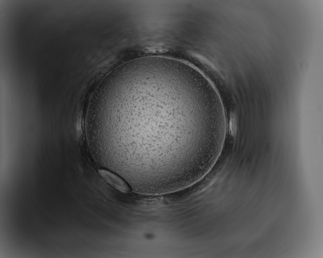 X0000093111444200710031307
