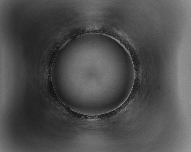 X0000093111445200710031307