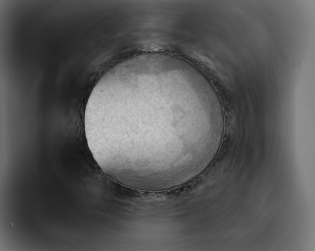 X0000093111446200710031307
