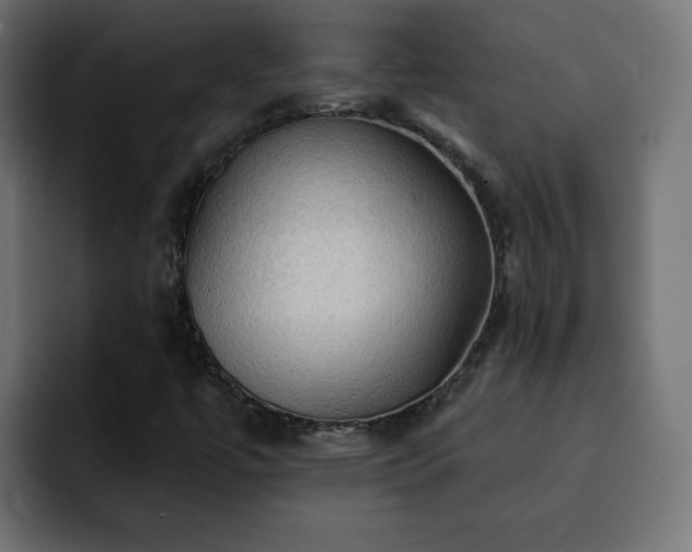 X0000093111447200710031307