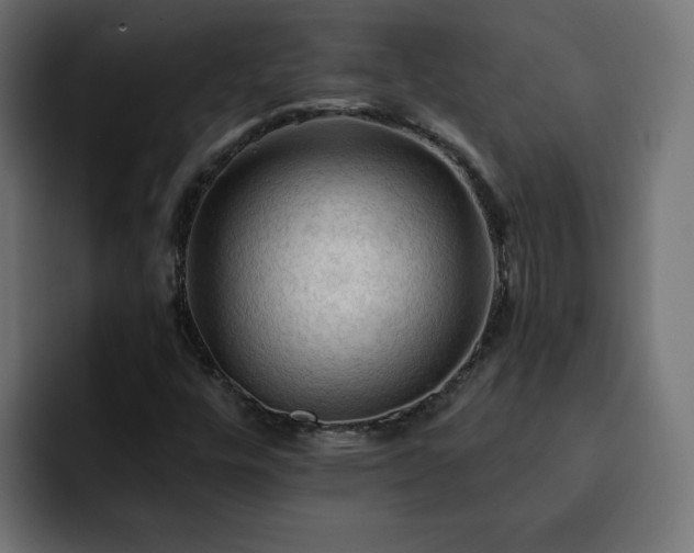 X0000093111448200710031307