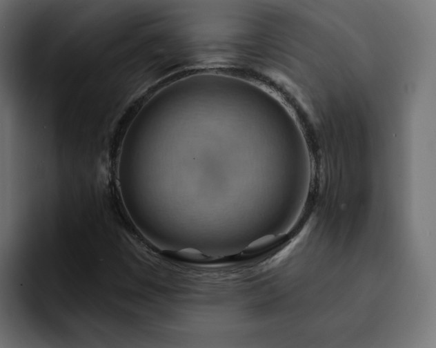 X0000093111449200710031307