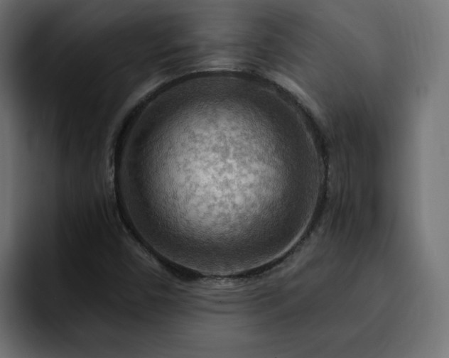 X0000093111450200710031307
