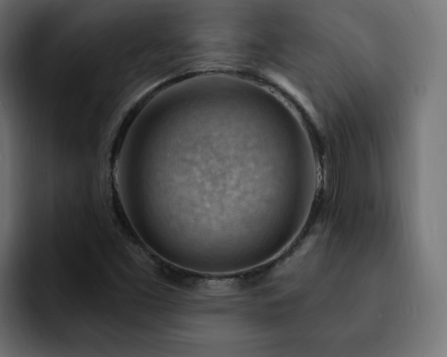 X0000093111453200710031307