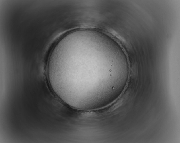 X0000093111454200710031307