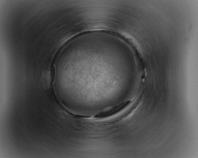X0000093111457200710031307
