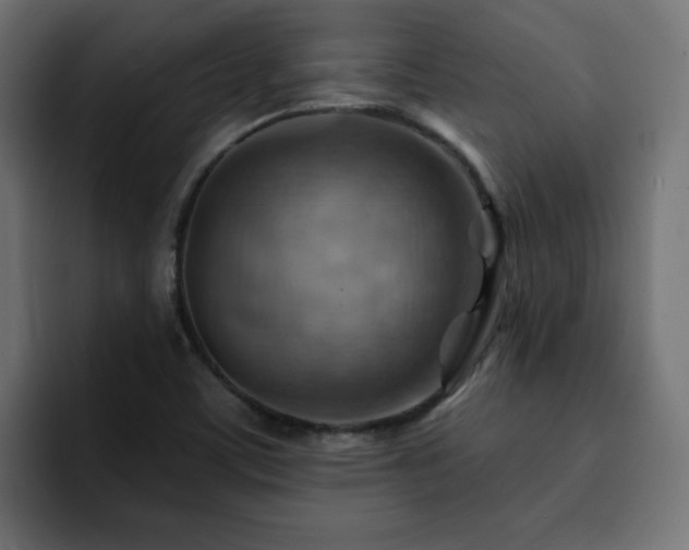 X0000093111459200710031307