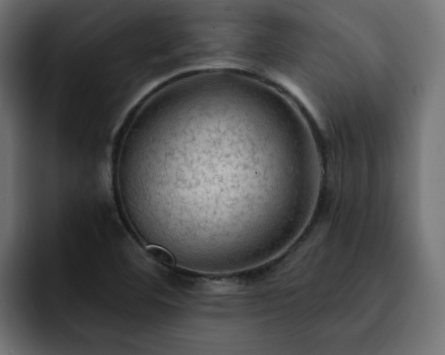 X0000093111460200710031307