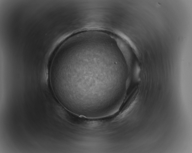 X0000093111461200710031307