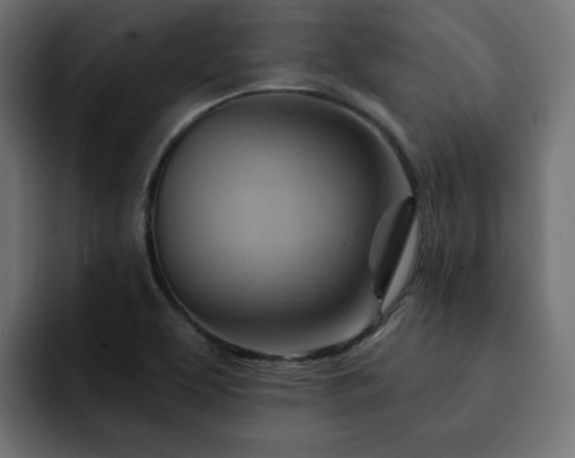 X0000093111463200710031307