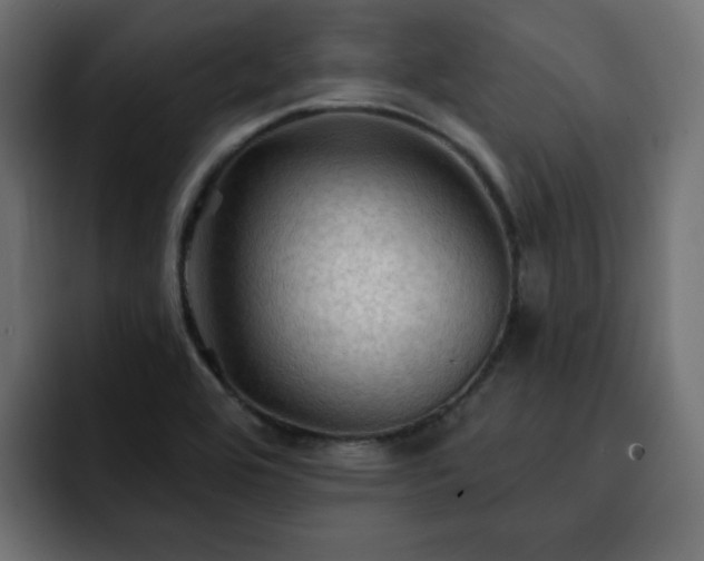 X0000093111464200710031307