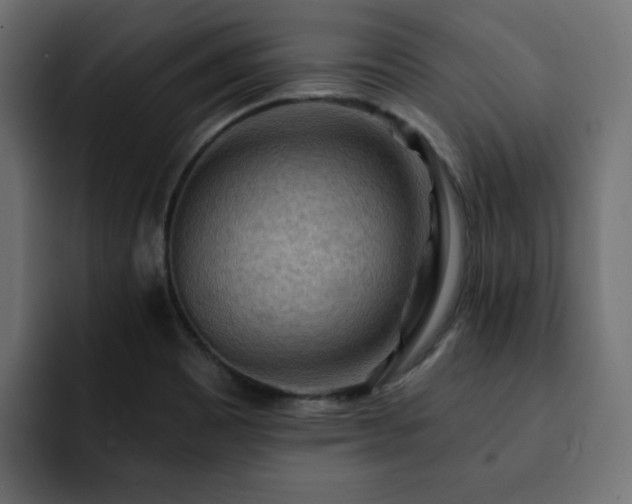 X0000093111465200710031307