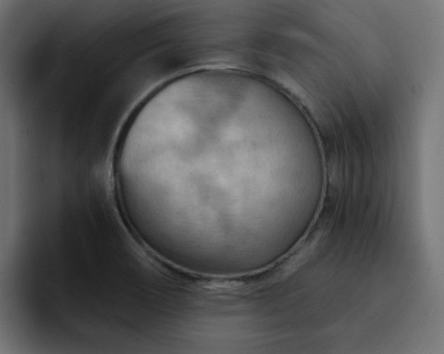 X0000093111466200710031307