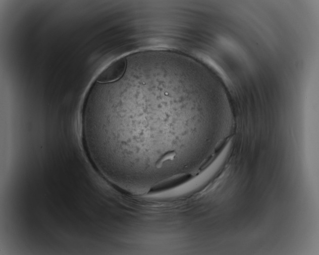 X0000093111467200710031307
