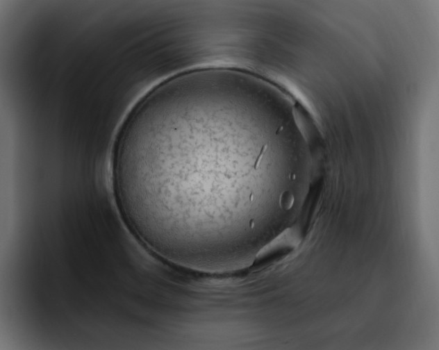X0000093111468200710031307
