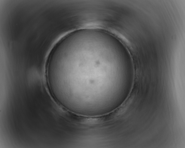 X0000093111470200710031307