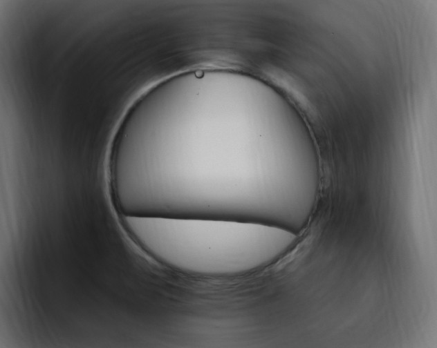 X0000093111471200710031307