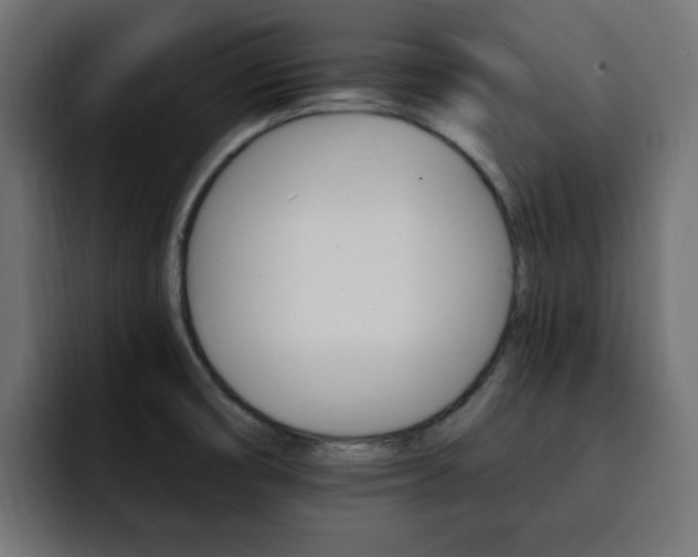 X0000093111474200710031307