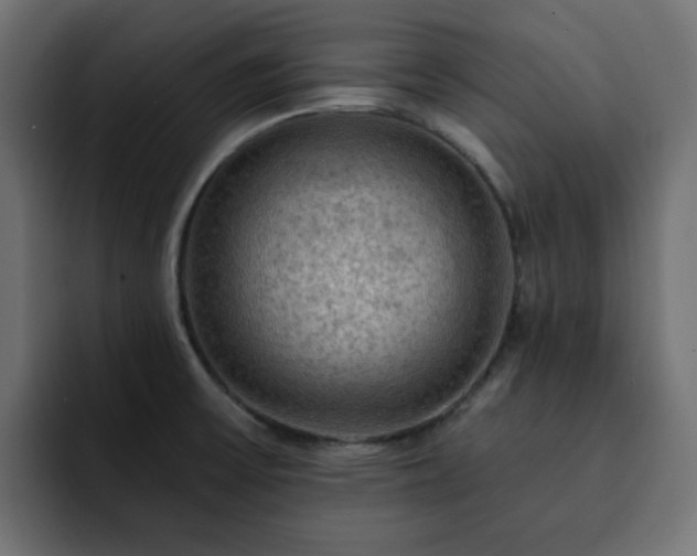 X0000093111475200710031307