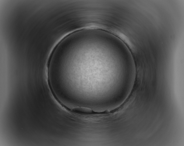 X0000093111476200710031307