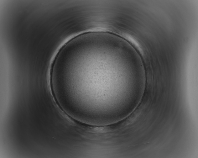 X0000093111480200710031307